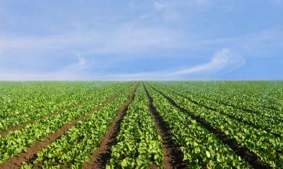 2019年正月十五元宵节出生男孩五行缺水的名字推荐