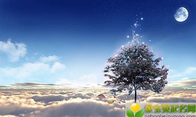 2019年11月8号出生的女宝宝五行缺木如何起名字，宜用字有什么