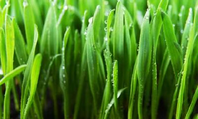 2019年白露日子祭祀好不好？祭祀最佳时间是几点？