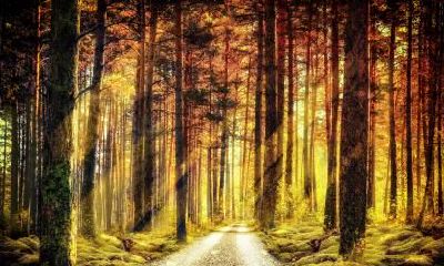 2019年正月十五元宵节出生的女孩五行缺土名字推荐