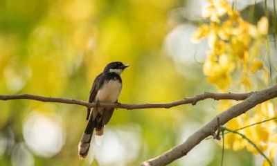 2020年农历十月初七出生男孩阳光大气的名字大全