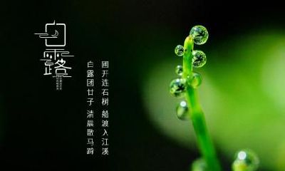 白露时节有什么需要注意的？