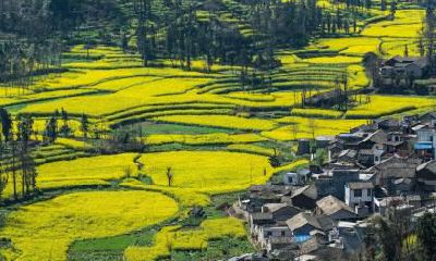 2021年1月4日出生男宝宝五行缺木起名，牛年几时出生最好？