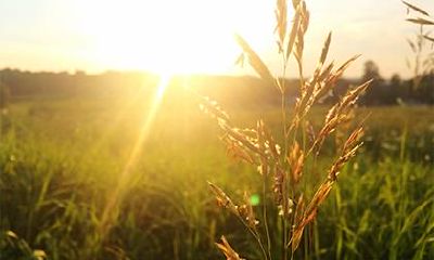 2019年正月十四出生的女孩五行缺水的名字推荐