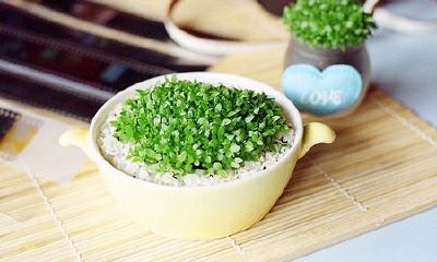 狗年姓单于女孩名字大全 属狗单于姓女宝宝起名2018