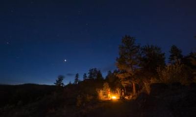 2020年农历十二月初一出生男孩五行缺木起名