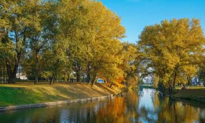 2019年白露节气日子冲煞是什么？冲煞是什么意思？