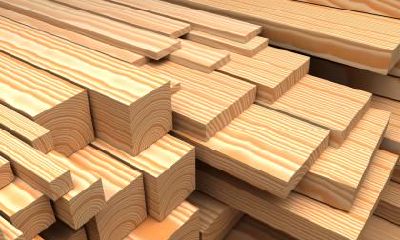 2019年正月十四出生的女孩五行缺火的名字推荐