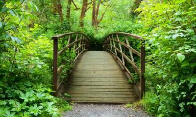 2021年2月16日出生女孩五行缺水取名大全好听的女孩名字