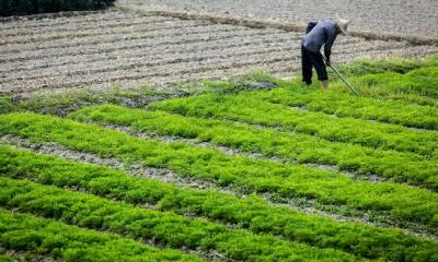2019年正月十四出生的男孩五行缺金可以取什么名字？
