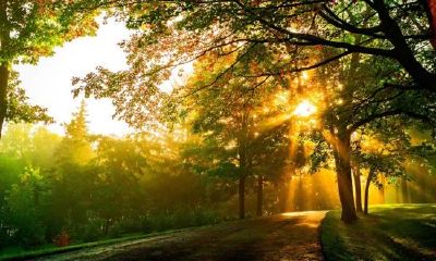 狗年姓明女孩名字大全 属狗明姓女宝宝起名2018