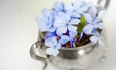 狗年姓郏女孩名字大全 属狗郏姓女宝宝起名2018