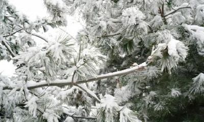 白露节气都有什么习俗？白露习俗大全