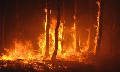 土命缺金取什么名字，男孩女孩五行缺金好名字推荐