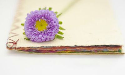 狗年姓仲孙女孩名字大全 属狗仲孙姓女宝宝起名2018