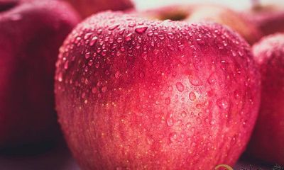 梦到非常大很美的苹果