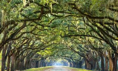 2020年农历十二月初七出生女孩五行喜火名字