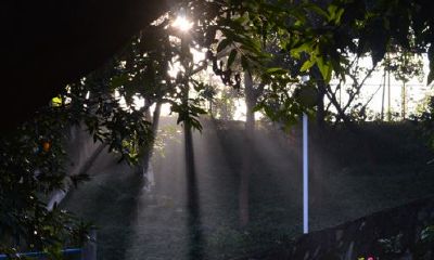 狗年姓令狐女孩名字大全 属狗令狐姓女宝宝起名2018