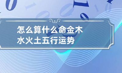怎么算什么命金木水火土 五行运势