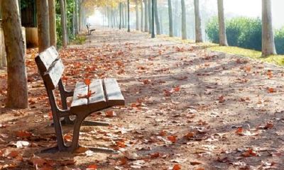 狗年姓邵女孩名字大全 属狗邵姓女宝宝起名2018