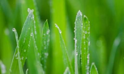 2019年白露节喜神吉位一览表，不同时辰喜神位置在哪？