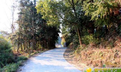 2019猪年中元节出生女宝宝起什么小名比较好