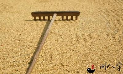 梦见晒谷子下雨了