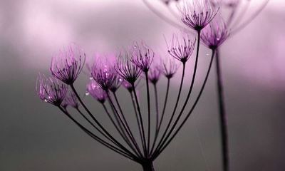 狗年姓巫马女孩名字大全 属狗巫马姓女宝宝起名2018