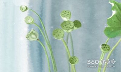 最能经得起平淡流年的生肖组合