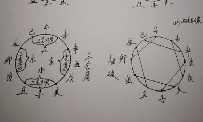 带你走进十二生肖（兔）