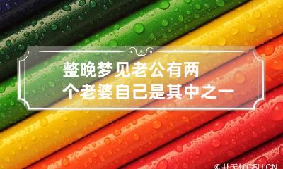 整晚梦见老公有两个老婆自己是其中之一