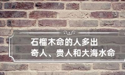 石榴木命的人多出奇人、贵人和大海水命合吗