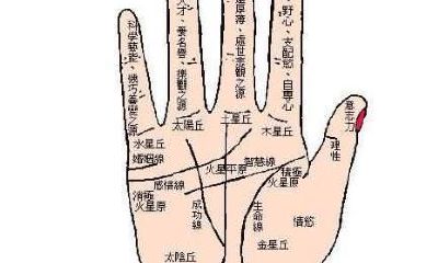 什么是手相？看手相等同于算命吗？