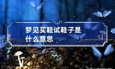梦见买鞋试鞋子是什么意思