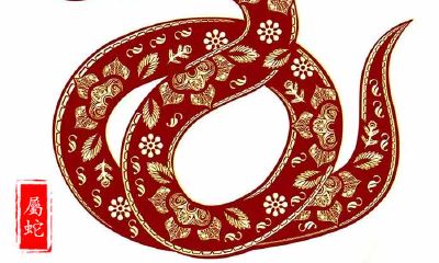 李居明12生肖2019年运程预测——生肖蛇