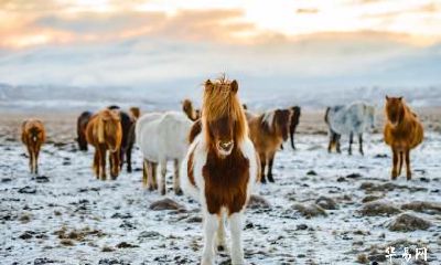 1987年出生的属马人哪一年会转运？转折点在什么时候？