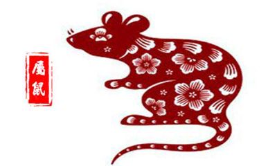 李居明12生肖2019年运程预测——生肖鼠