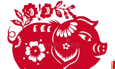 李居明12生肖2019年运程预测——生肖猪