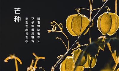 2022年芒种节气在什么时候？芒种三候介绍！