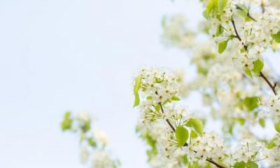 大雪节气出生的人好吗？大雪节气出生的性格如何？