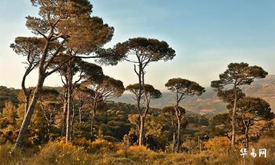 段姓是如何发展而来的？迁徙分布过程是怎样的？