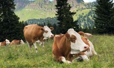 2021辛丑牛年农历八月二十四日适合新店开张开业吗？