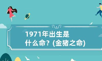 1971年出生是什么命？(金猪之命) 1971年出生的是金命吗