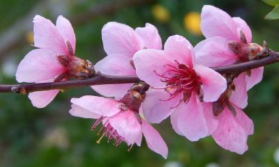 2022年是无春年、单春年还是双春年，要注意什么？