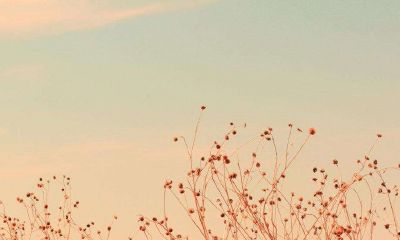 2022年秋季阳历的安床吉日大全