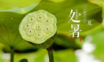 2022年处暑在什么时候几月几日？处暑节气农谚有哪些？