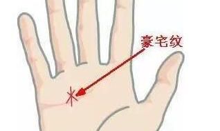 百年难得一遇的手相，有此纹者，必发万之财