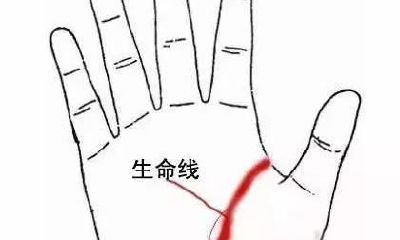 手纹看相科学吗？那些手能告诉我们的信息