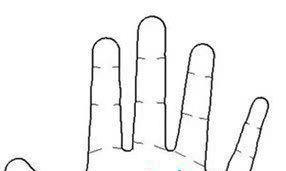 收集的常见手相，快来围观！！