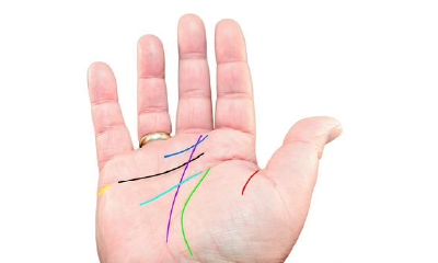 收集了比较全的手相入门，我竟然有艺术细胞